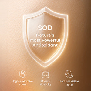 BIOSENS Glowing Antioxidant Serum with Superoxide Dismutase SOD Airless 1 FL OZ